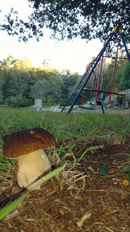 Willa Casa D'Agosto Estacas Zewnętrze zdjęcie
